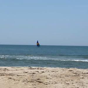 Meet your Posher, Jane